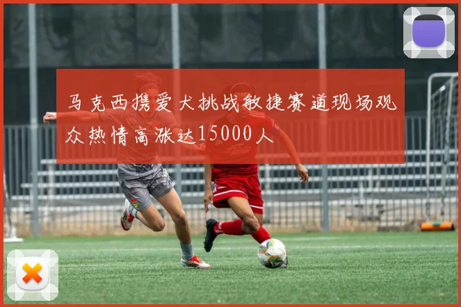 马克西携爱犬挑战敏捷赛道现场观众热情高涨达15000人