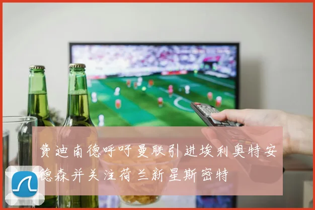 费迪南德呼吁曼联引进埃利奥特安德森并关注荷兰新星斯密特