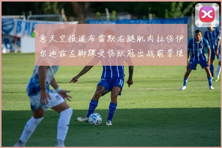意天空报道布雷默右腿肌肉拉伤伊尔迪兹左脚踝受伤欧冠出战前景堪忧